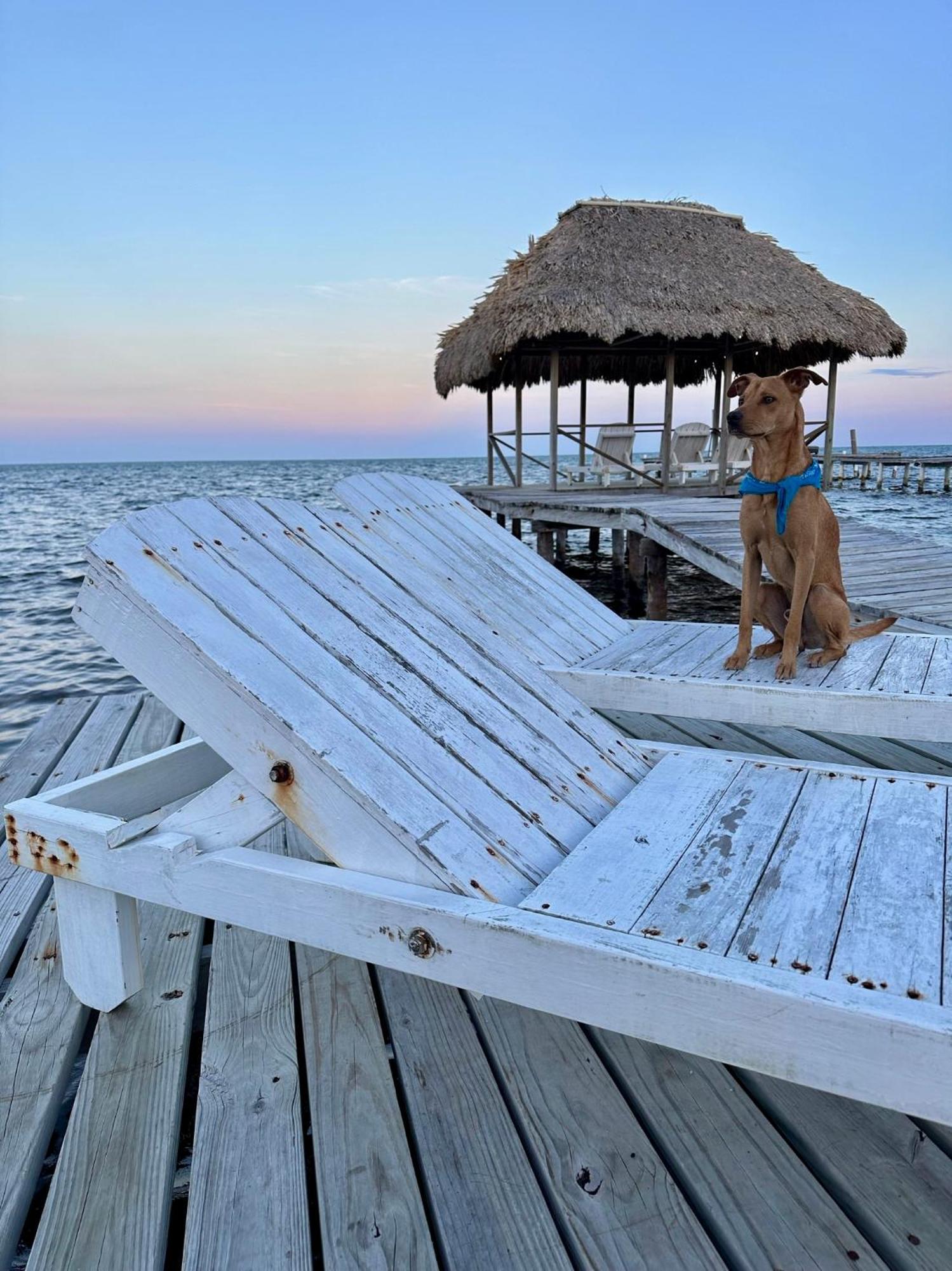 Barefoot Beach Belize Caye Caulker Exterior photo